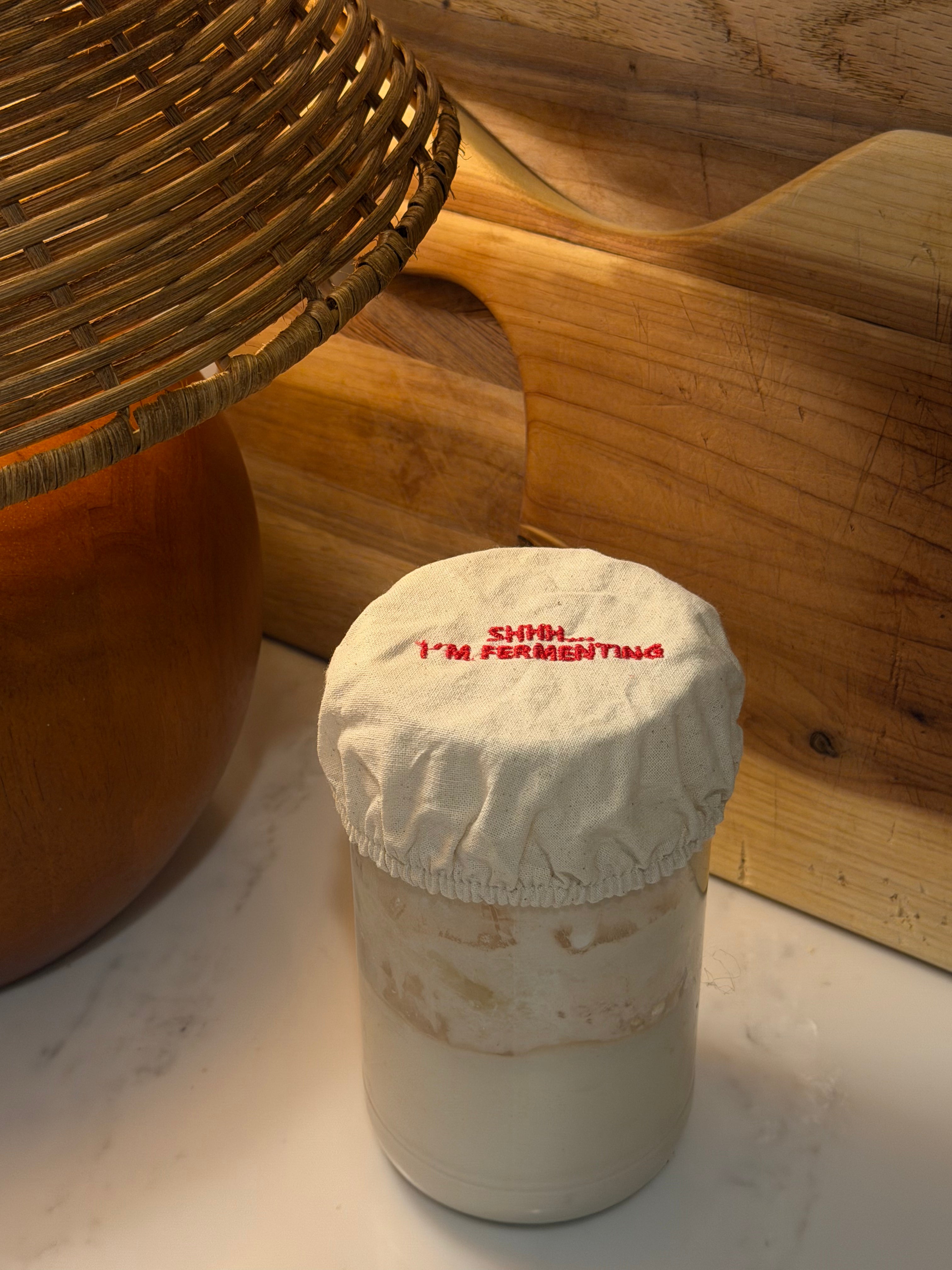SHHH.. I’M FERMENTING jar cover